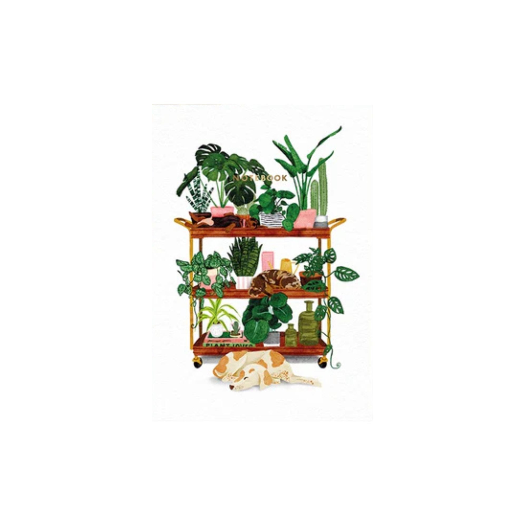 All the Ways to Say, Carnet poche - Plant Shelf