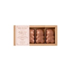 Angelina, Boîte de 4 Guimauve Oursons