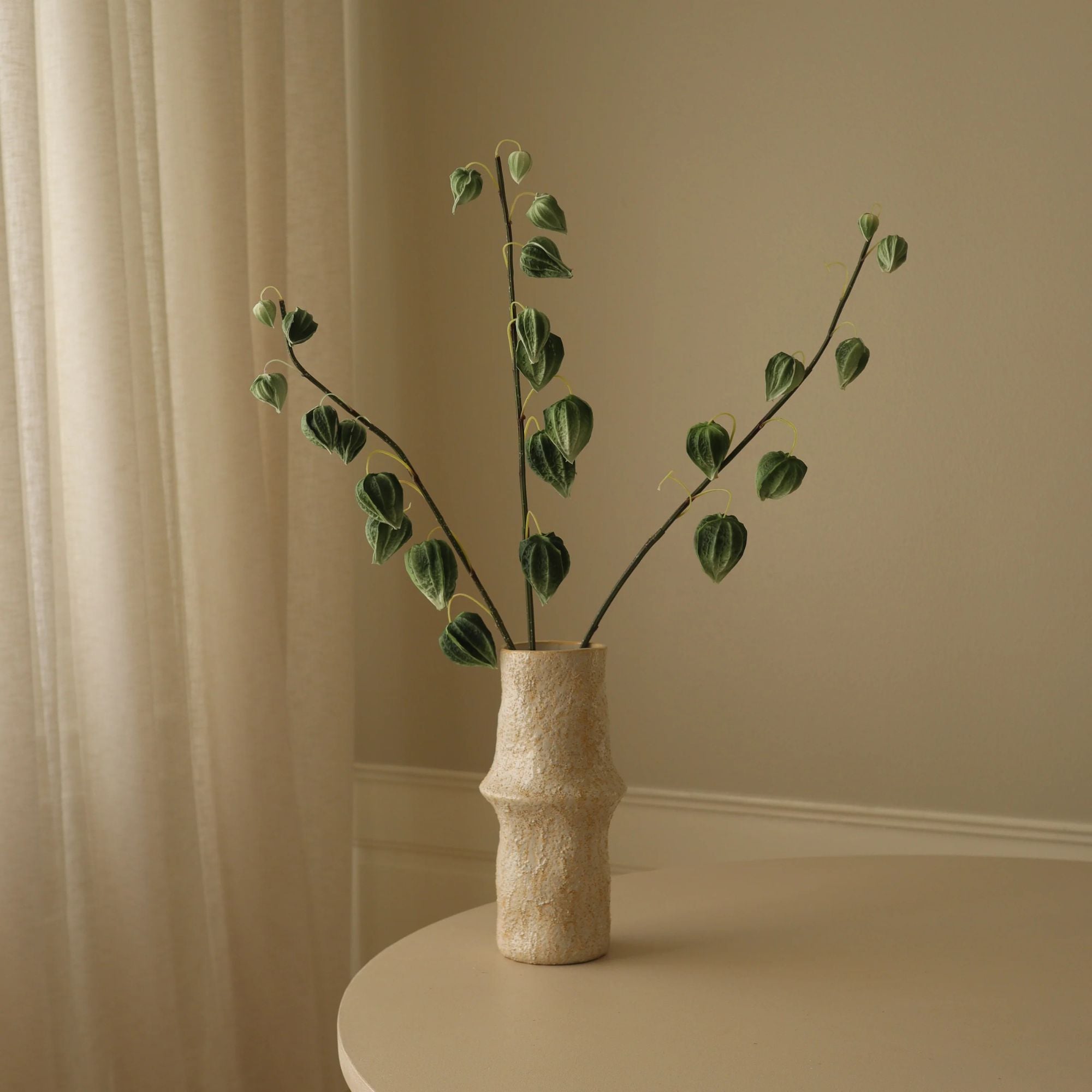 Botané, Physalis - Vert