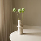 Botané, Scabiosa - Vert Clair