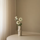 Botané, Anémone - Blanche