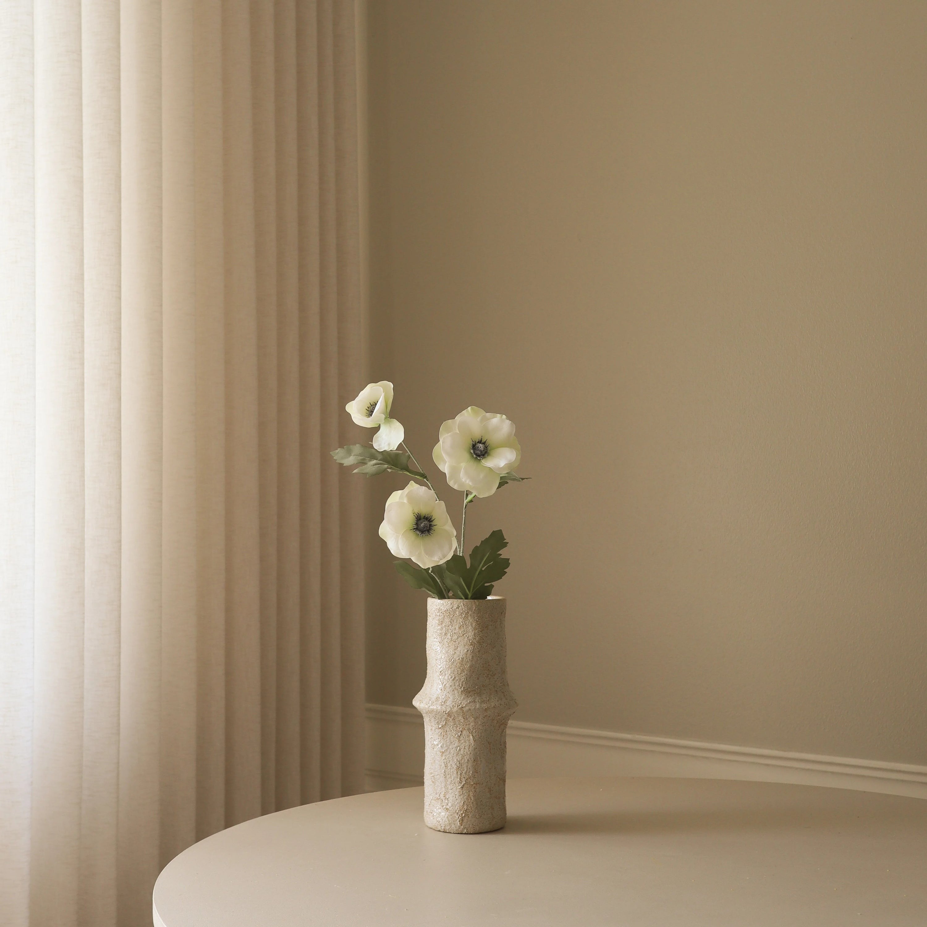 Botané, Anémone - Blanche