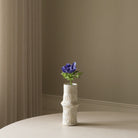 Botané, Anémone - Bleue