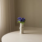 Botané, Anémone - Bleue