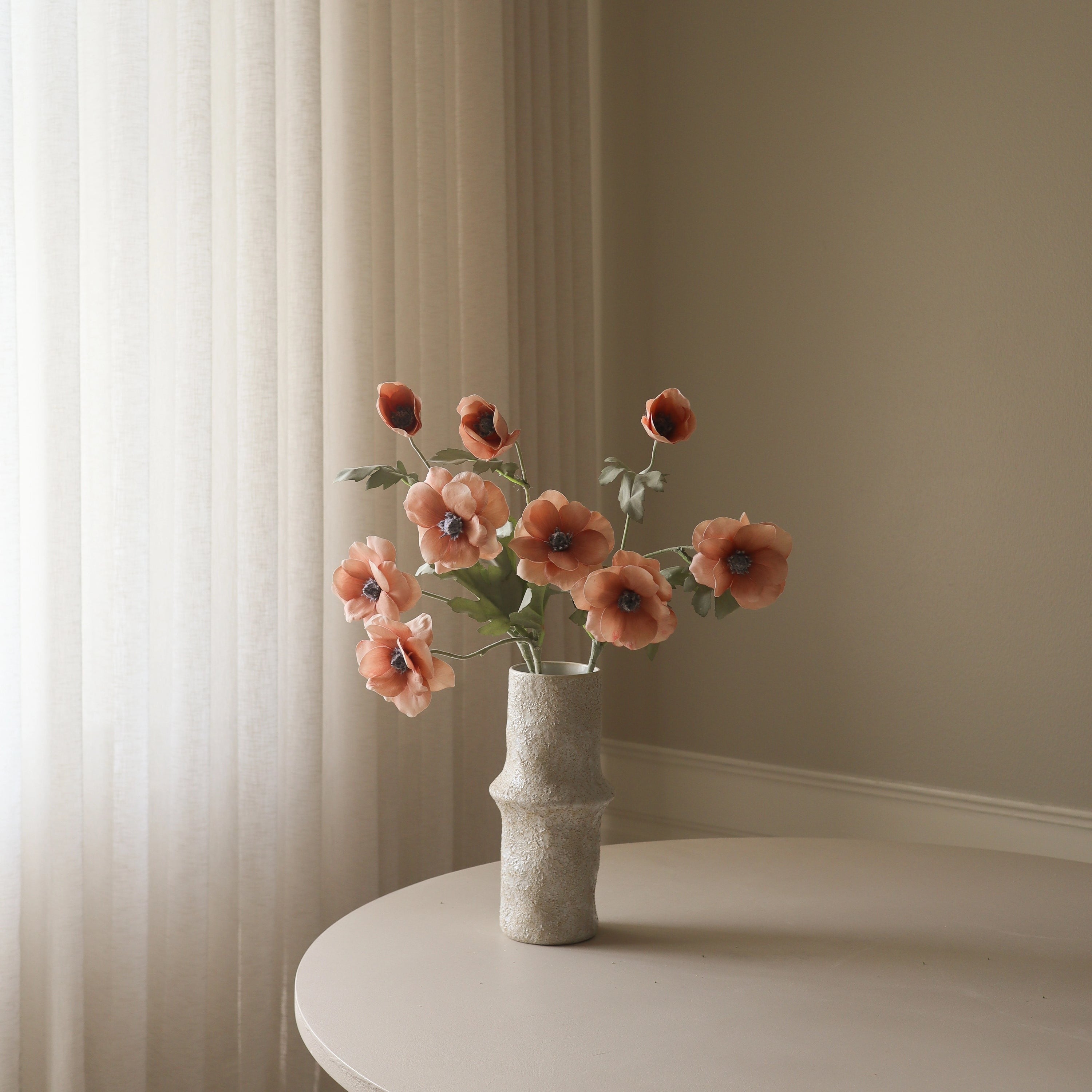 Botané, Anémone - Champagne