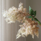 Botané, Fleur de buisson - Fumé crème