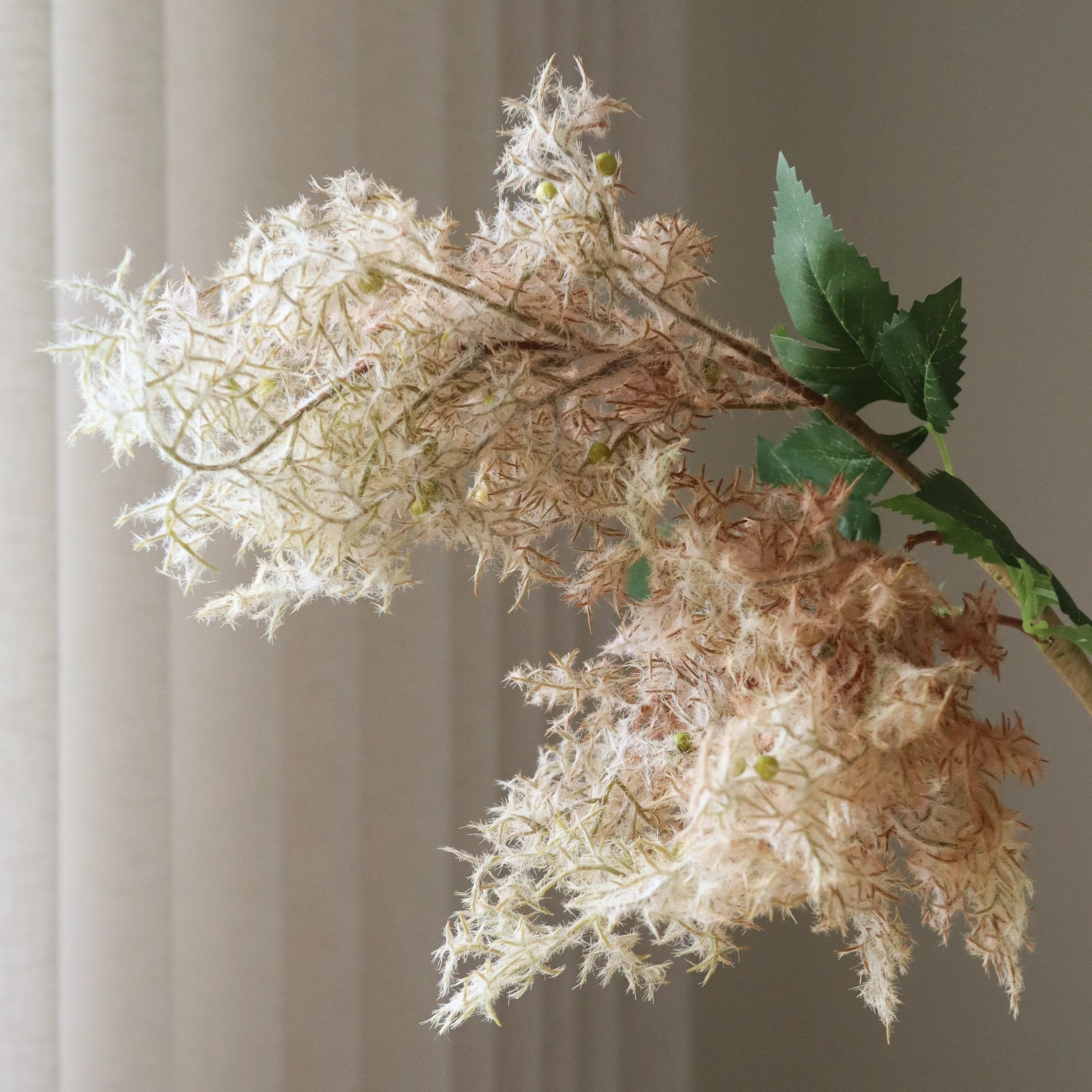 Botané, Fleur de buisson - Fumé crème