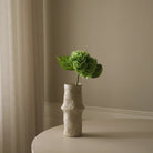 Botané, Hortensia - Vert