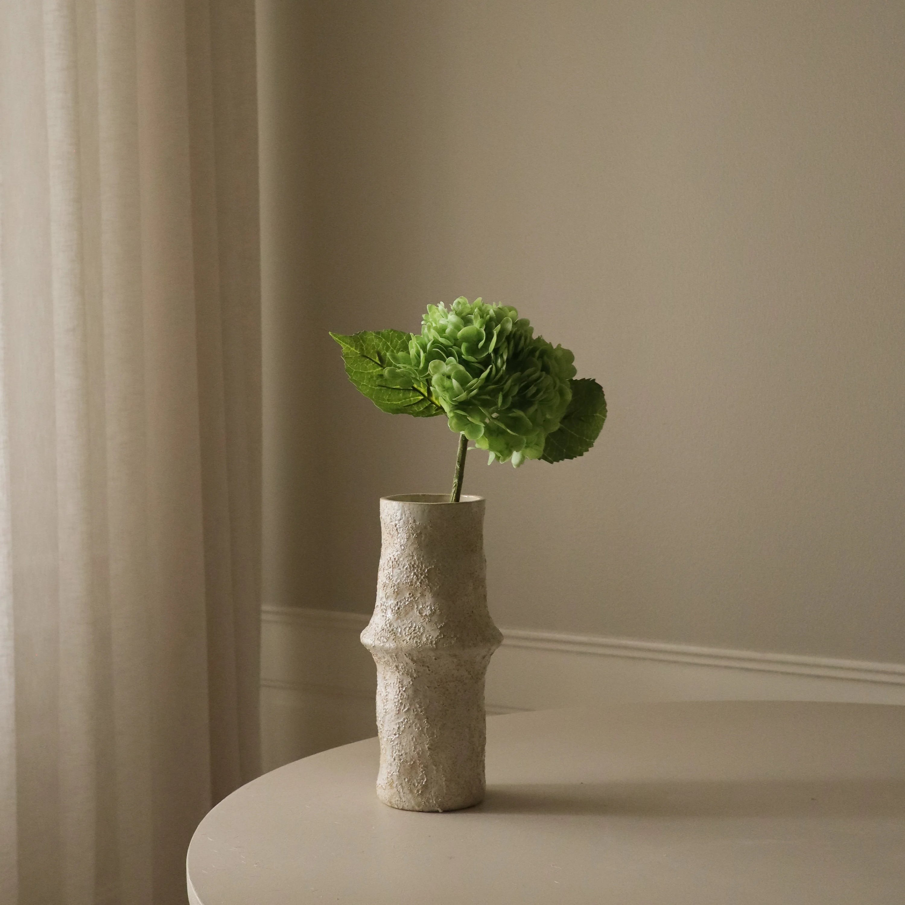 Botané, Hortensia - Vert