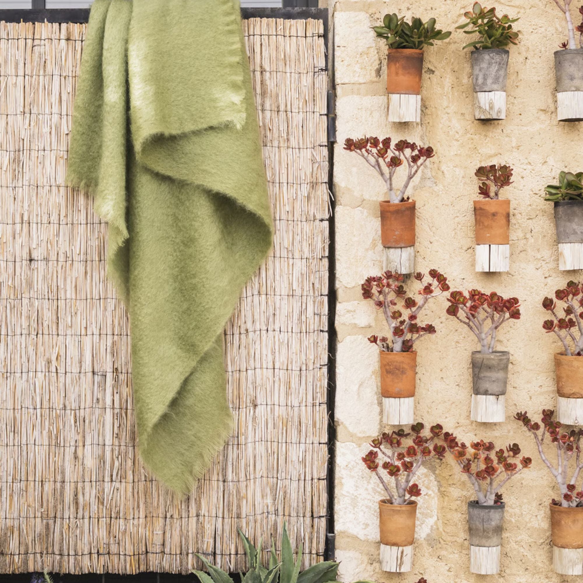 Brun de Vian Tiran, Plaid Mohair - Olive