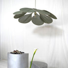 Centieme, Georges Store, Suspension Pale L'originelle, taille M 120cm - Tilleul