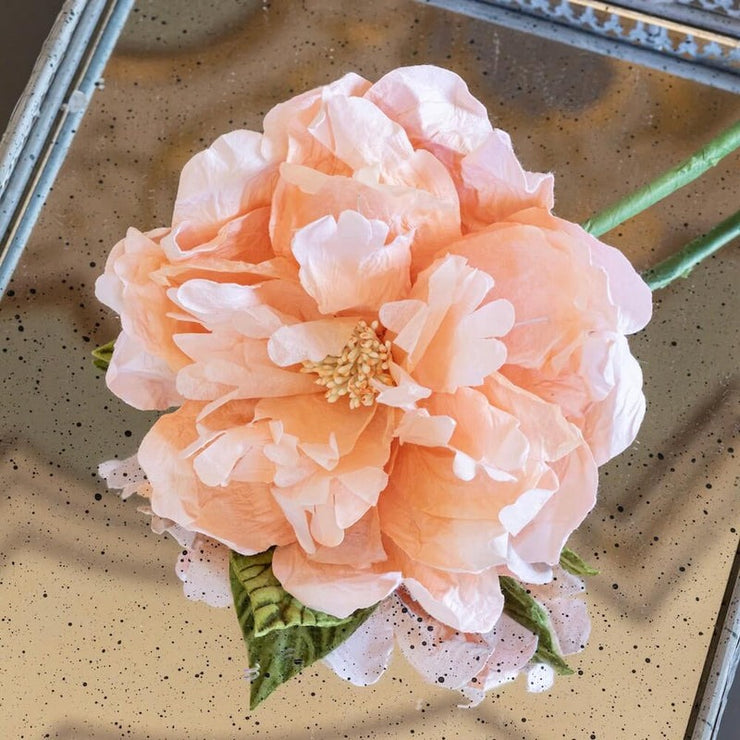 Flowrette : Créations artisanales en fleurs séchées uniques – Nad Yut