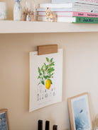 Gllu, Porte-affiches Raisin