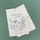 Growing Paper, Calendrier à planter 2026 - Les plantes médicinales