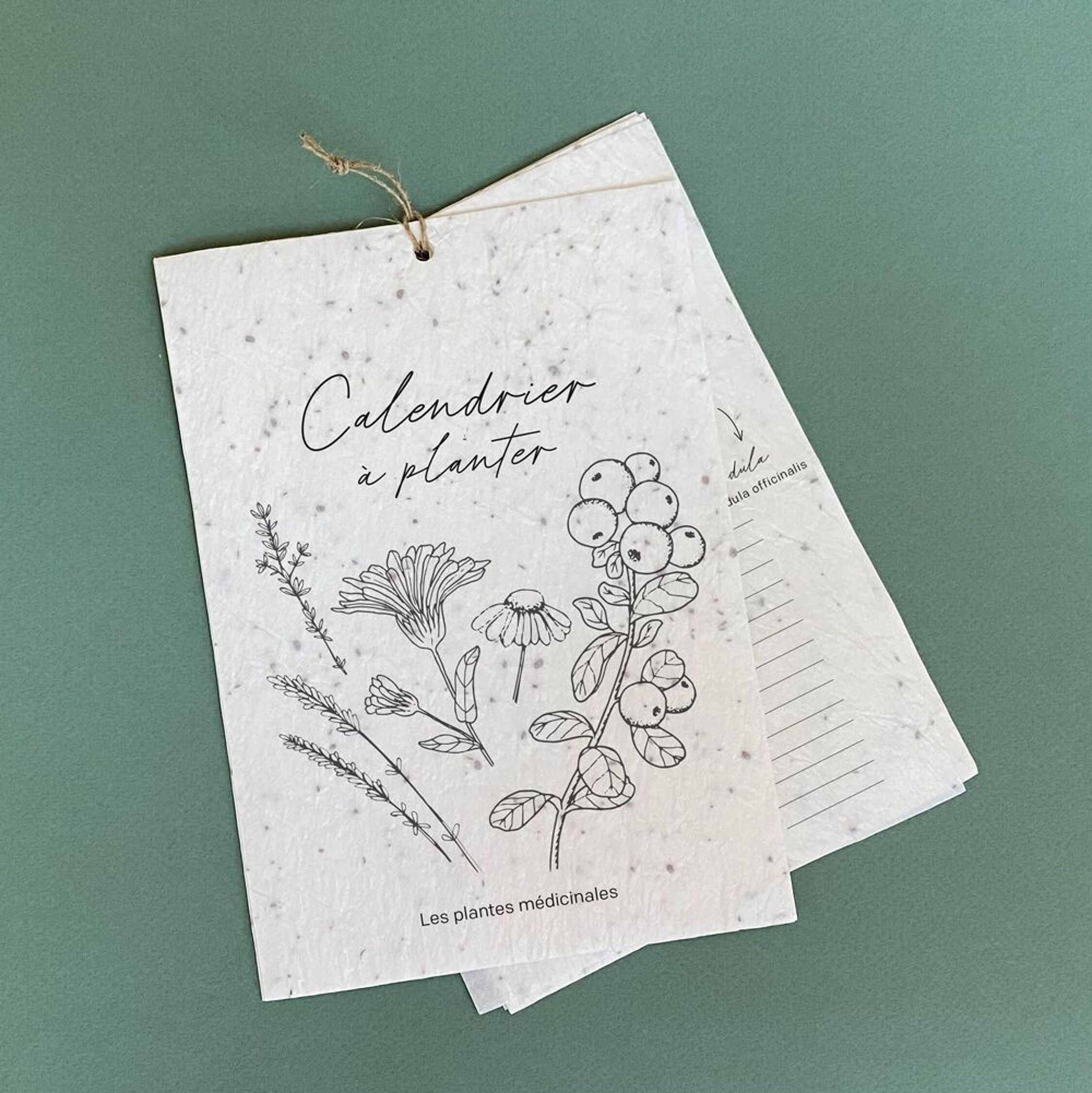 Growing Paper, Calendrier à planter 2026 - Les plantes médicinales