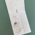 Growing Paper, Calendrier à planter 2026 - Les plantes médicinales