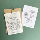 Growing Paper, Calendrier à planter 2026 - Les plantes médicinales