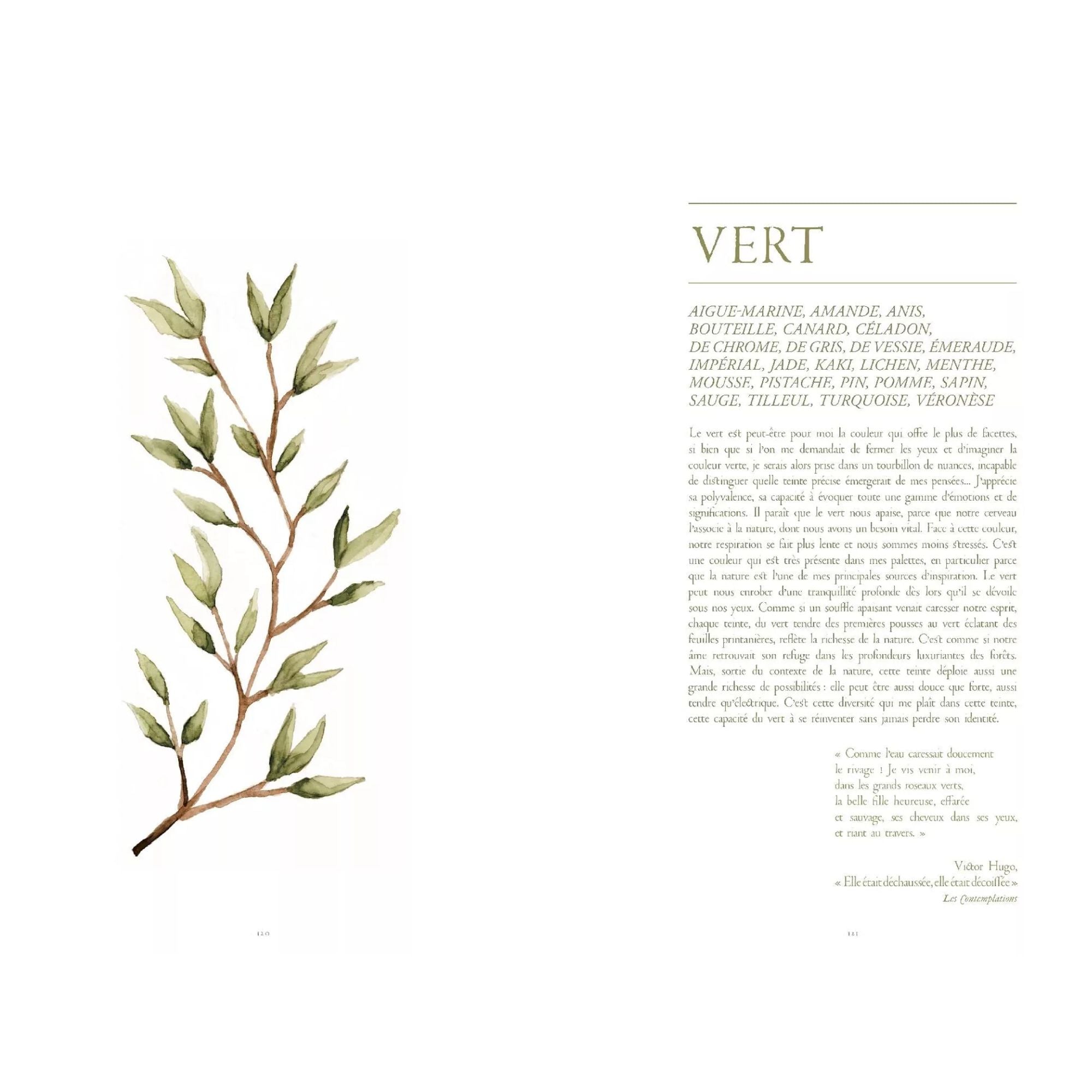 Livre à peindre - Théa Meneur