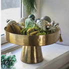 Madam Stoltz, Etoile de Noël - 