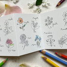 Papillonnage, Carte Accordéon - Fleurettes à colorier